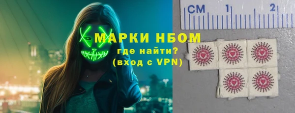 сатива Бородино