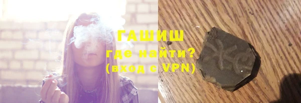 сатива Бородино