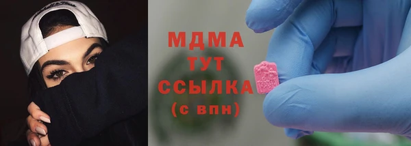 сатива Бородино
