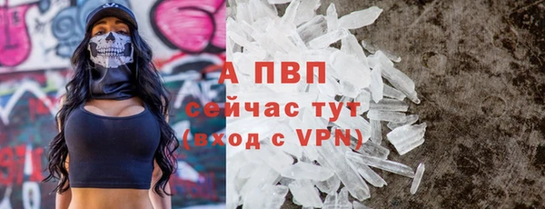 сатива Бородино