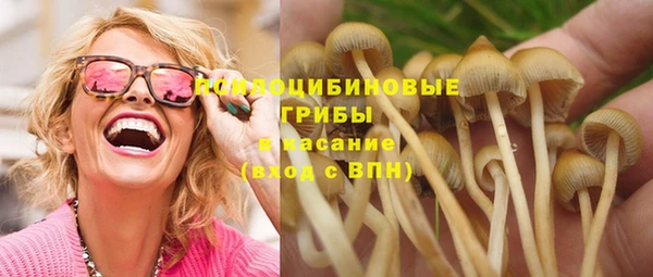 сатива Бородино