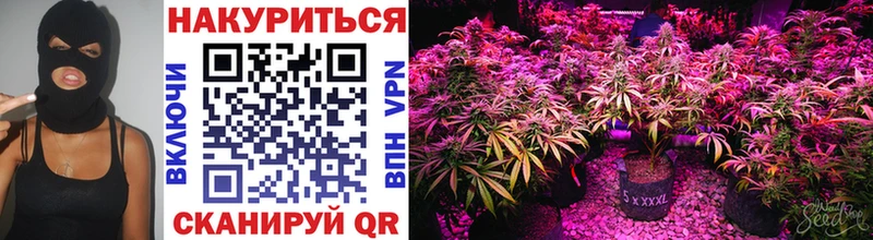 Купить  Семилуки  Канабис Ganja 